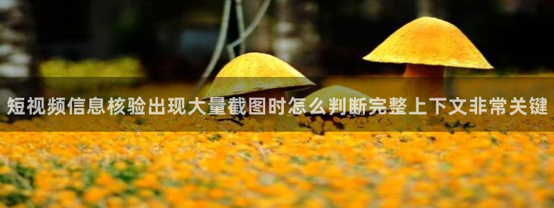 51吃瓜玩偶姐姐