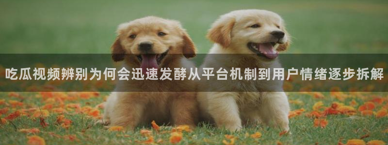 51吃瓜导航