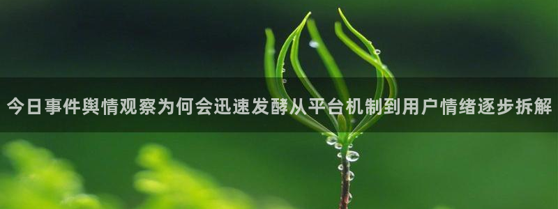 51 吃瓜