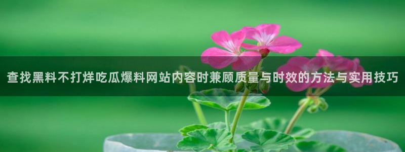 51吃瓜网网址