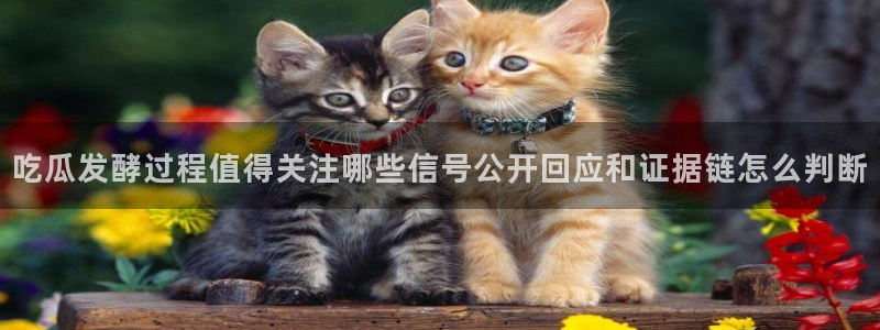 911黑料吃瓜:吃瓜发酵过程值得关注哪些信号公开回应和证据链怎么判断