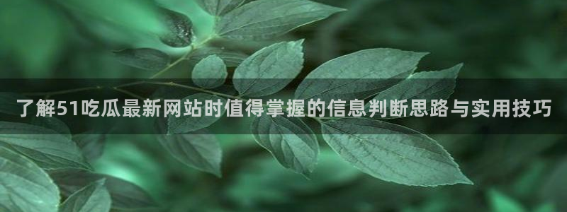52吃瓜网:了解51吃瓜最新网站时值得掌握的信息判断思路与实用技巧